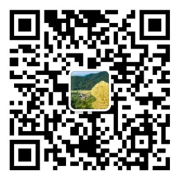 彩神8vlll彩票首页
